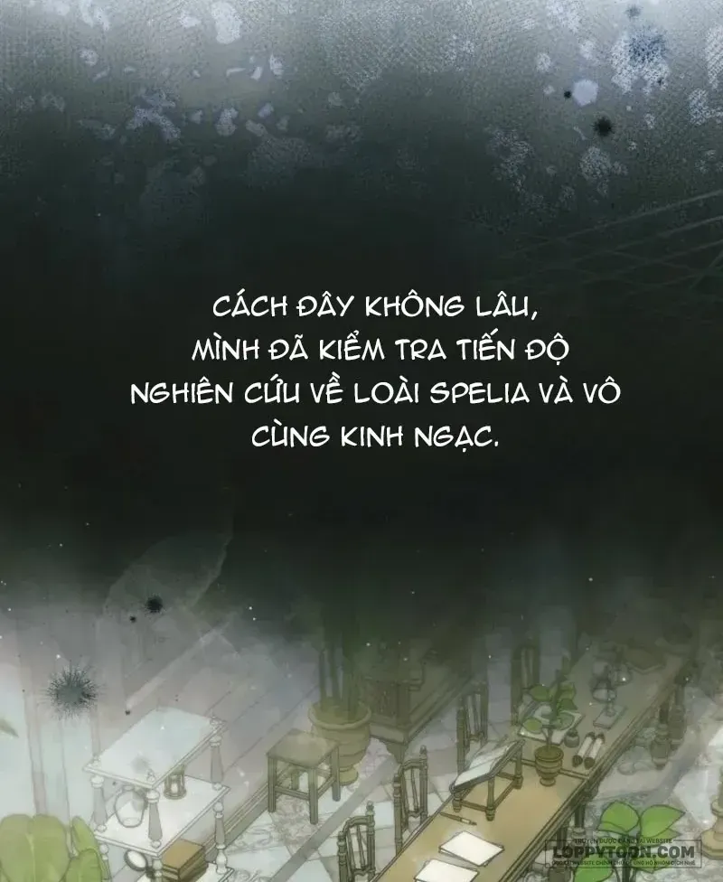 Độc Chiếm Sự Sủng Ái Của Công Nương Út, Mọi Người Đều Ám Ảnh Tôi Chap 45 - Next Chap 46