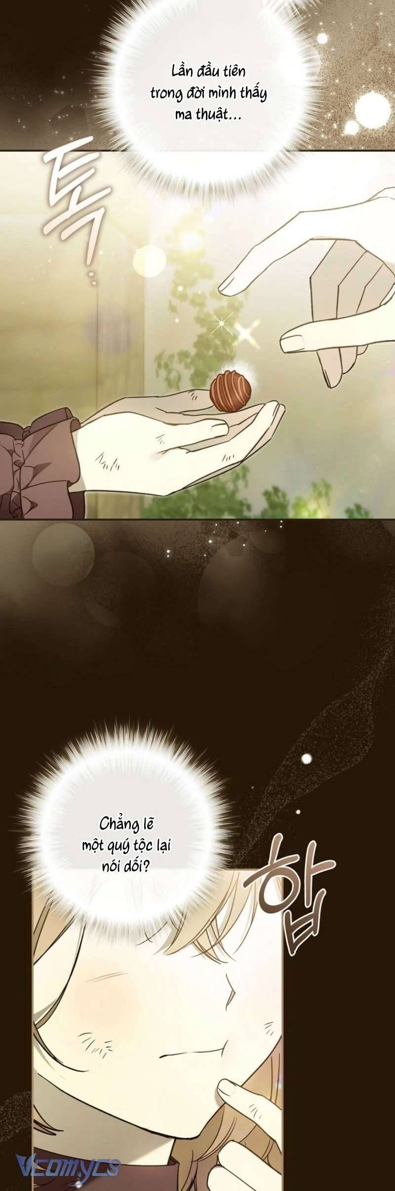 Độc Chiếm Sủng Ái Của Công Chúa Út, Mọi Người Đều Say Mê Tôi. Chap 35 - Next Chap 36