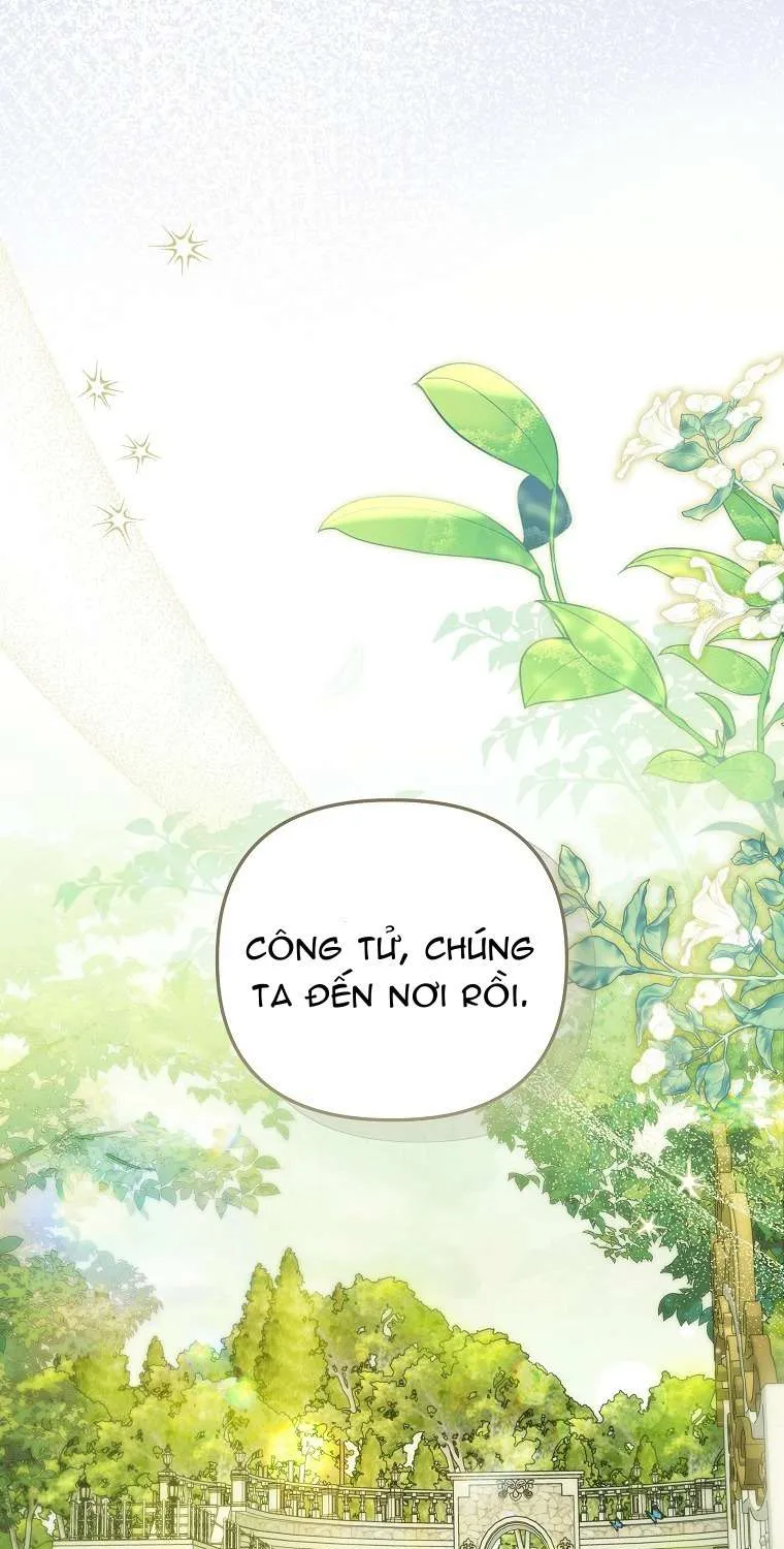 Độc Chiếm Sủng Ái Của Công Chúa Út, Mọi Người Đều Say Mê Tôi. Chap 47 - Next Chap 48