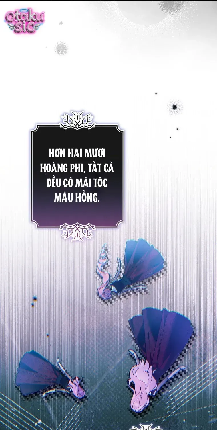 Độc Chiếm Sủng Ái Của Công Chúa Út, Mọi Người Đều Say Mê Tôi. Chap 51 - Next Chap 52