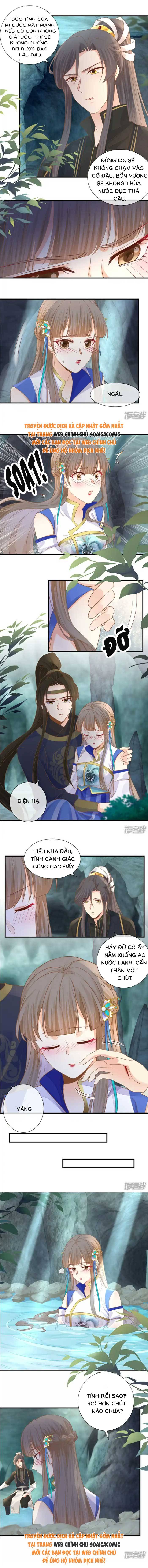 Độc Phi Trùng Sinh Báo Thù Chap 35 - Next Chap 36