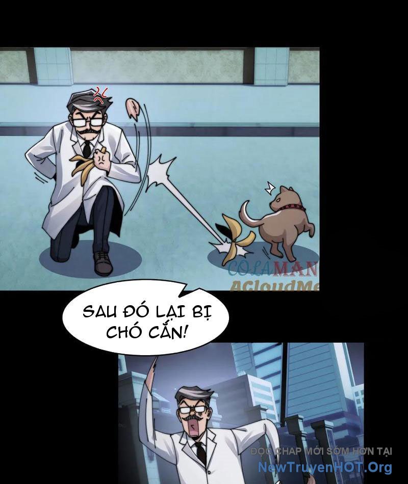 đối Mặt Với Bệnh Tâm Thần, Ma Quỷ Chẳng Là Cái Thá Gì Chap 141 - Next Chap 142