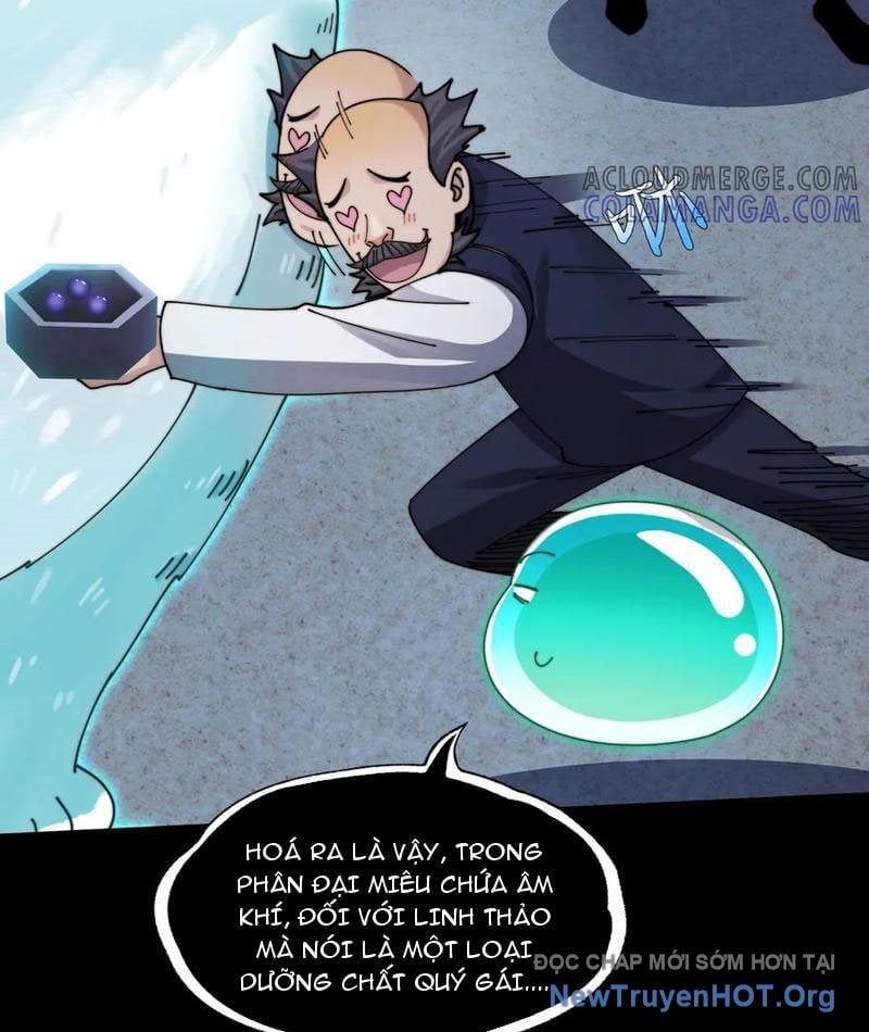 đối Mặt Với Bệnh Tâm Thần, Ma Quỷ Chẳng Là Cái Thá Gì Chap 143 - Next Chap 144