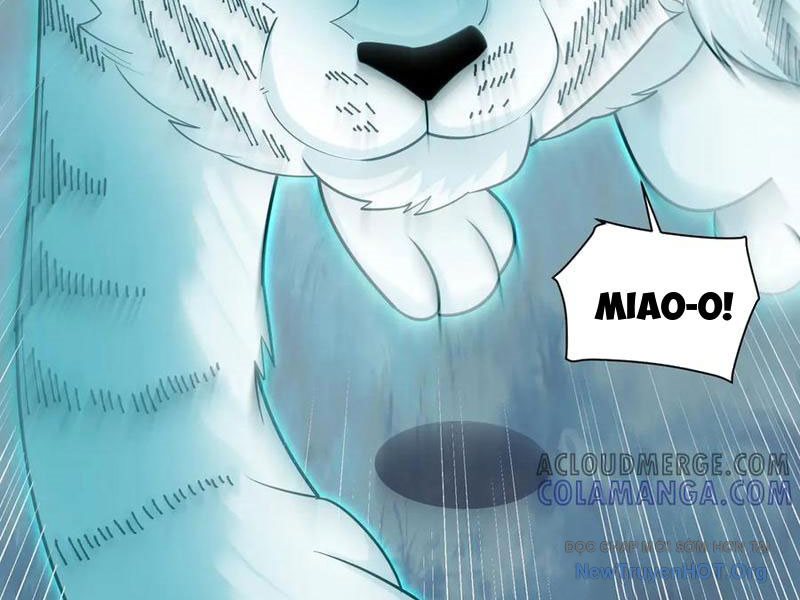 đối Mặt Với Bệnh Tâm Thần, Ma Quỷ Chẳng Là Cái Thá Gì Chap 144 - Next Chap 145