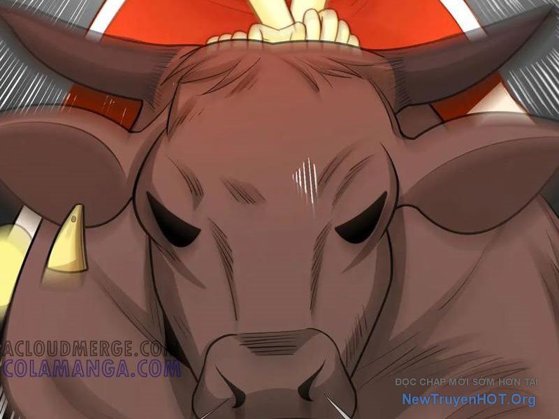 đối Mặt Với Bệnh Tâm Thần, Ma Quỷ Chẳng Là Cái Thá Gì Chap 144 - Next Chap 145