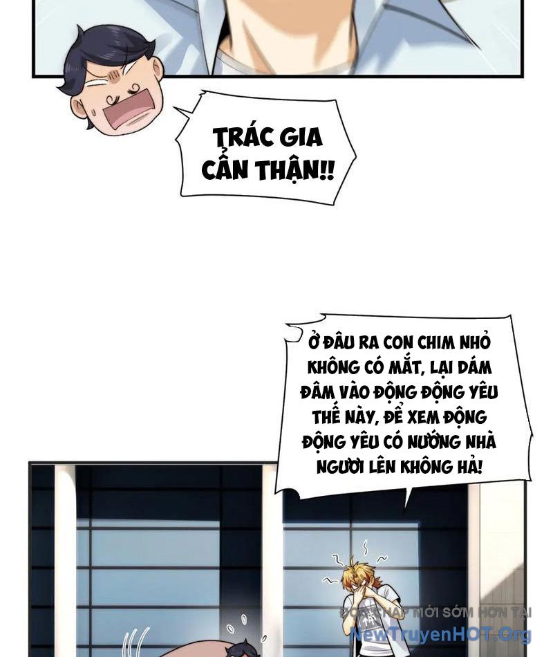 đối Mặt Với Bệnh Tâm Thần, Ma Quỷ Chẳng Là Cái Thá Gì Chap 145 - Next Chap 146