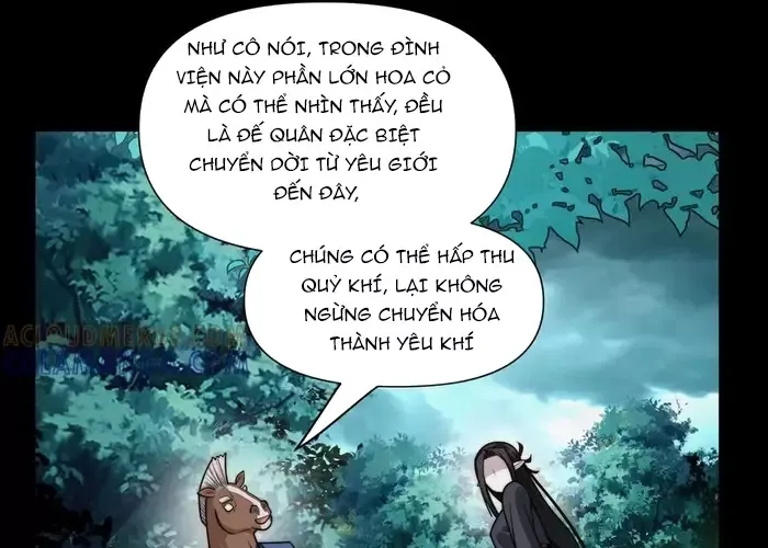 đối Mặt Với Bệnh Tâm Thần, Ma Quỷ Chẳng Là Cái Thá Gì Chap 165 - Next Chap 166