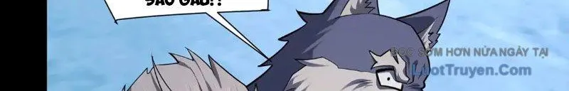 đối Mặt Với Bệnh Tâm Thần, Ma Quỷ Chẳng Là Cái Thá Gì Chap 174 - Next Chap 175