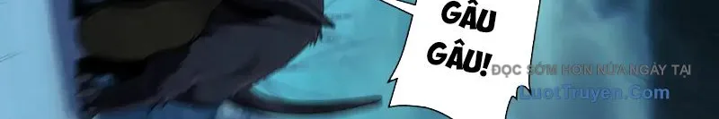 đối Mặt Với Bệnh Tâm Thần, Ma Quỷ Chẳng Là Cái Thá Gì Chap 174 - Next Chap 175