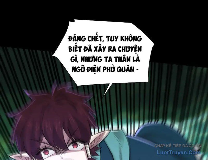 đối Mặt Với Bệnh Tâm Thần, Ma Quỷ Chẳng Là Cái Thá Gì Chap 184 - Next Chap 185