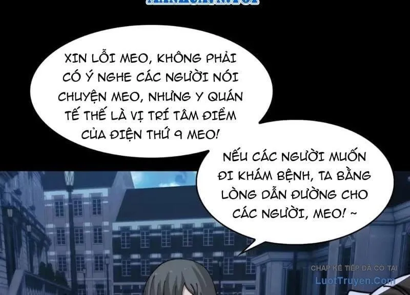 đối Mặt Với Bệnh Tâm Thần, Ma Quỷ Chẳng Là Cái Thá Gì Chap 221 - Next Chap 222
