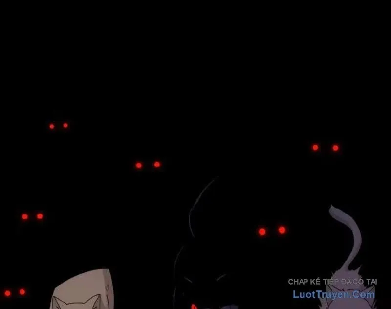 đối Mặt Với Bệnh Tâm Thần, Ma Quỷ Chẳng Là Cái Thá Gì Chap 221 - Next Chap 222