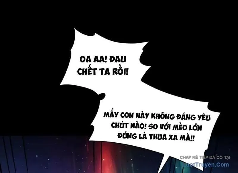 đối Mặt Với Bệnh Tâm Thần, Ma Quỷ Chẳng Là Cái Thá Gì Chap 221 - Next Chap 222