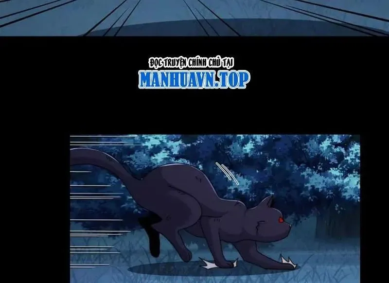 đối Mặt Với Bệnh Tâm Thần, Ma Quỷ Chẳng Là Cái Thá Gì Chap 221 - Next Chap 222