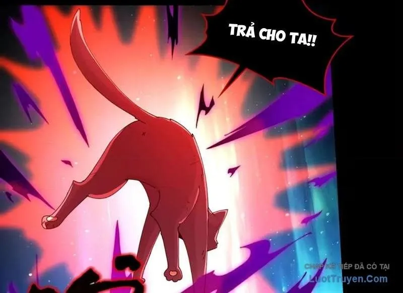 đối Mặt Với Bệnh Tâm Thần, Ma Quỷ Chẳng Là Cái Thá Gì Chap 221 - Next Chap 222