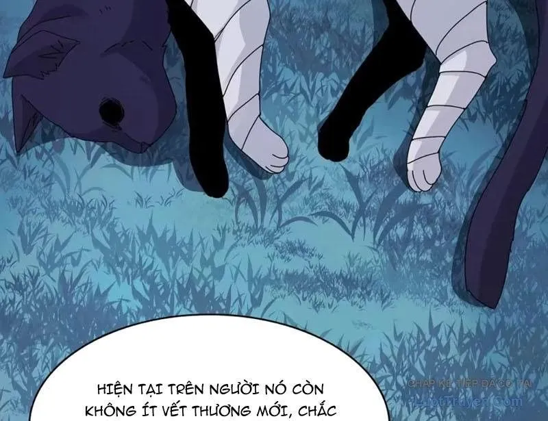đối Mặt Với Bệnh Tâm Thần, Ma Quỷ Chẳng Là Cái Thá Gì Chap 221 - Next Chap 222