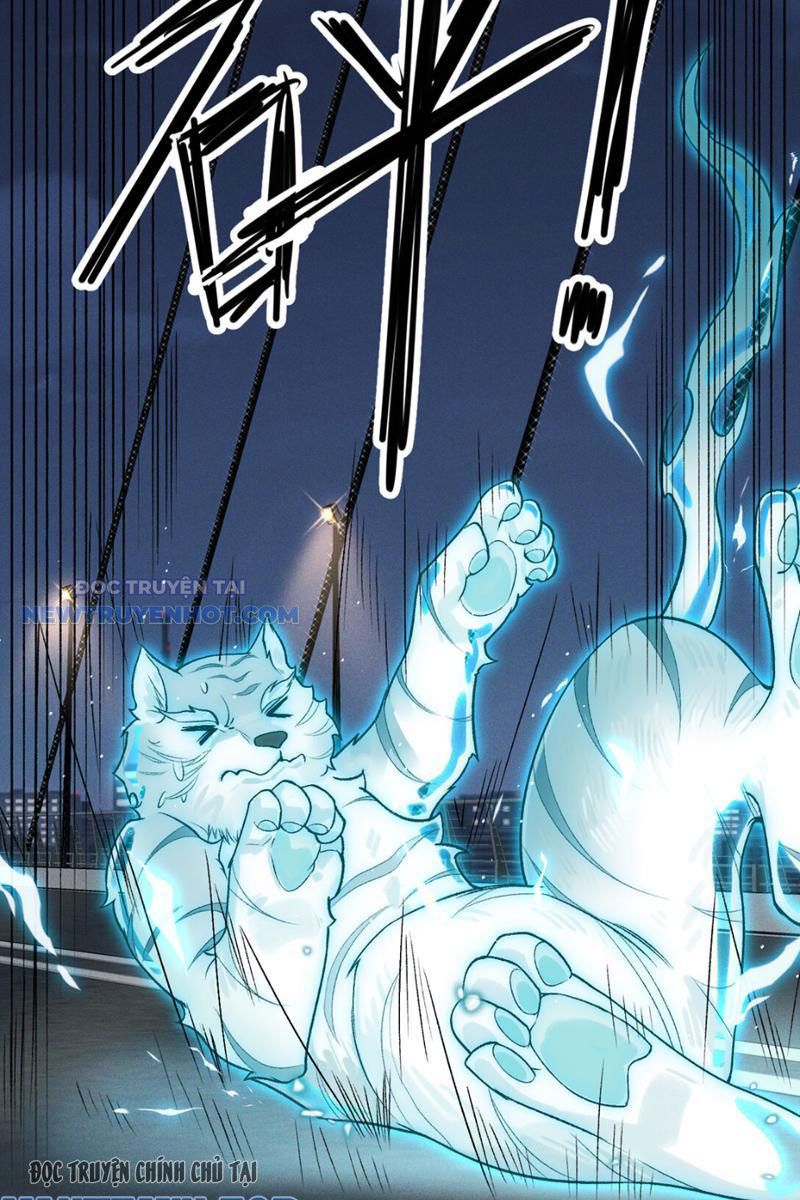 đối Mặt Với Bệnh Tâm Thần, Ma Quỷ Chẳng Là Cái Thá Gì Chap 7 - Next Chap 8