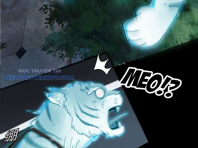 đối Mặt Với Bệnh Tâm Thần, Ma Quỷ Chẳng Là Cái Thá Gì Chap 8 - Next Chap 9