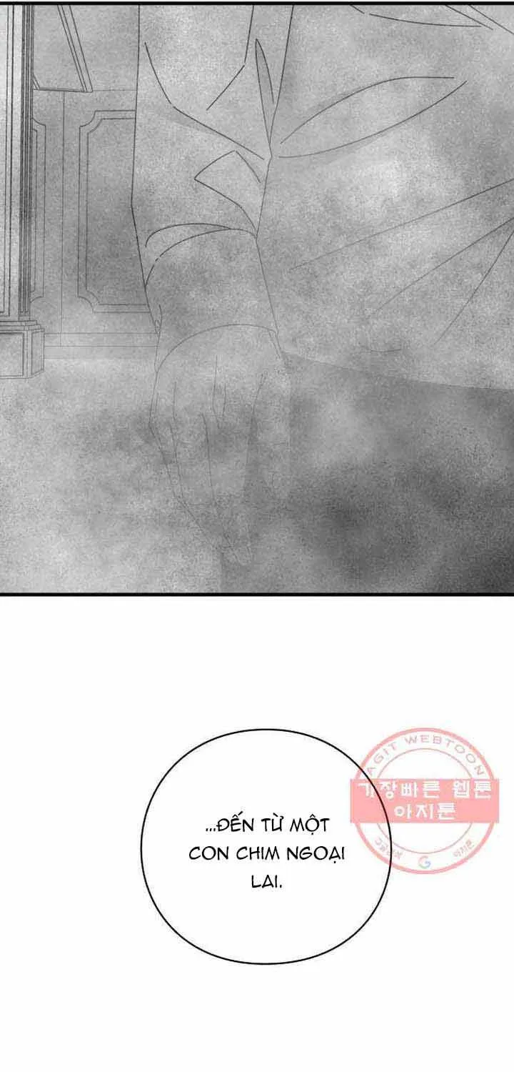 Đôi Mắt Chap 41 - Next Chap 42