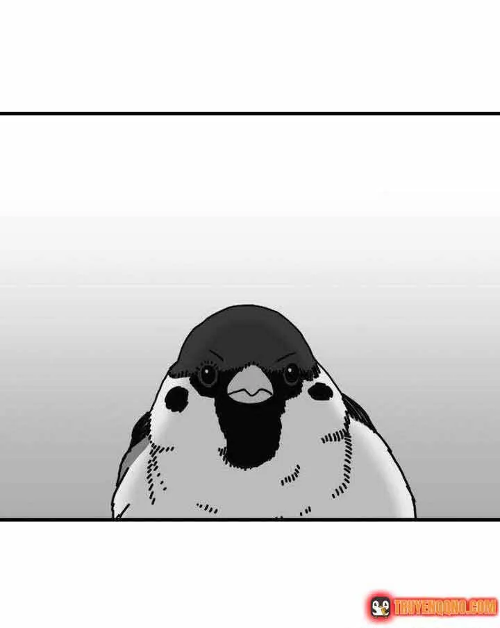 Đôi Mắt Chap 52 - Next Chap 53