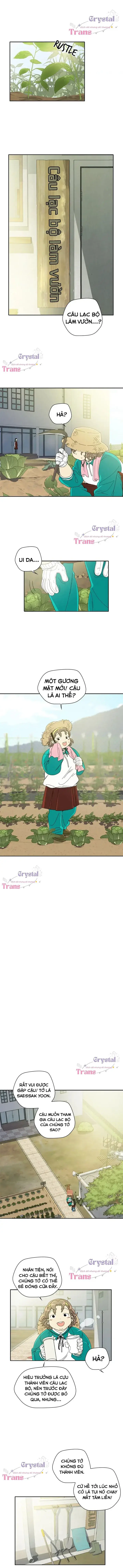 Đội Thám Tử Câu Lạc Bộ Làm Vườn Chap 1 - Next Chap 2