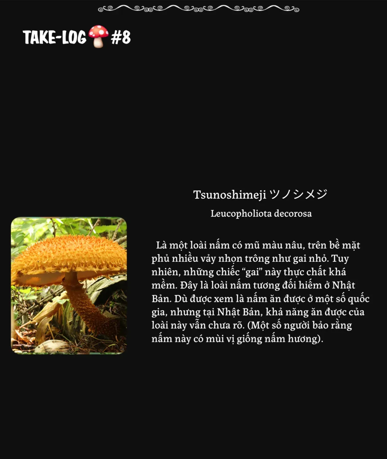 Doku Doku Mori Mori Chap 8 - Next Chap 9
