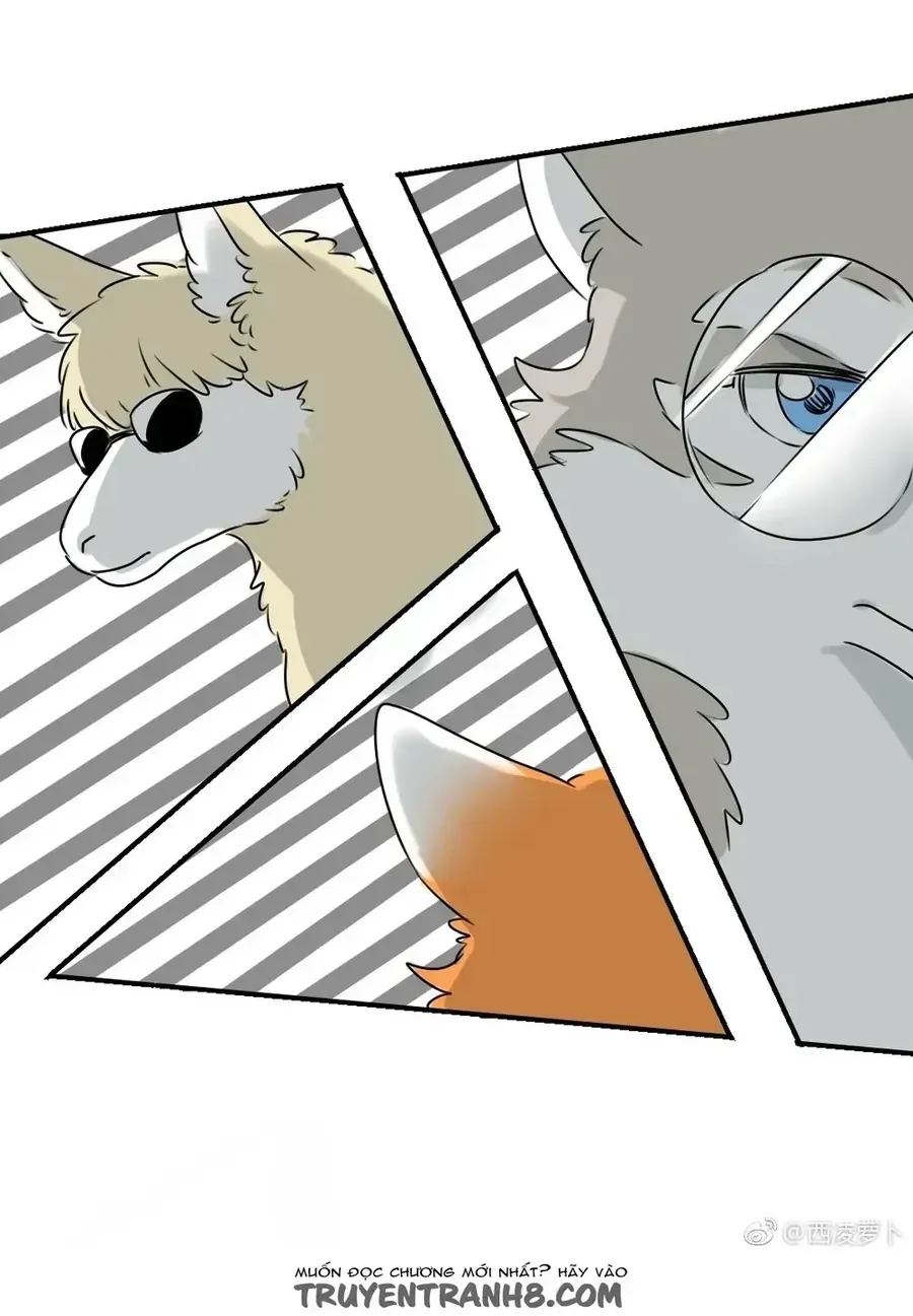 Động Vật Đầu Tiên Chap 11 - Next Chap 12