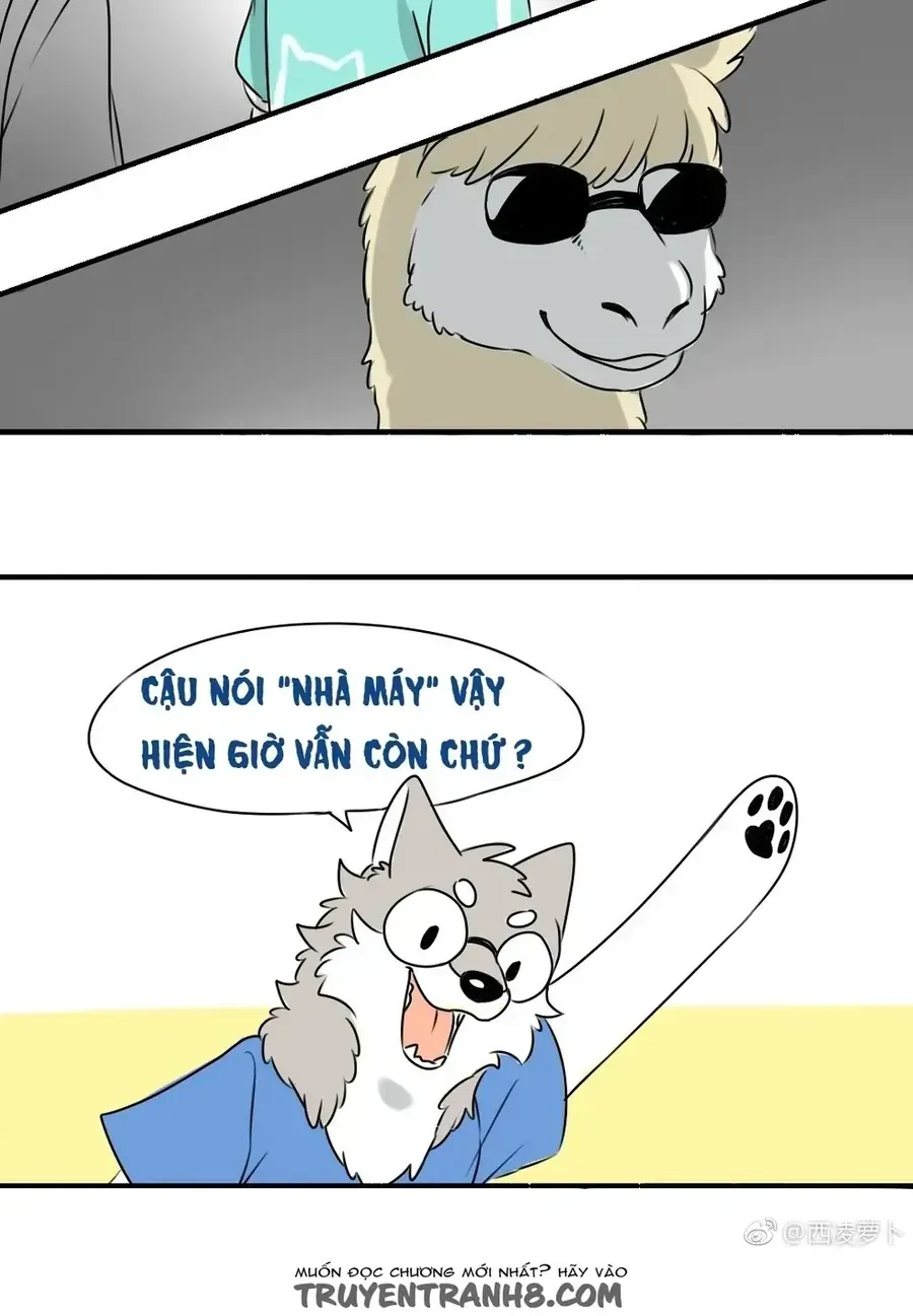 Động Vật Đầu Tiên Chap 11 - Next Chap 12