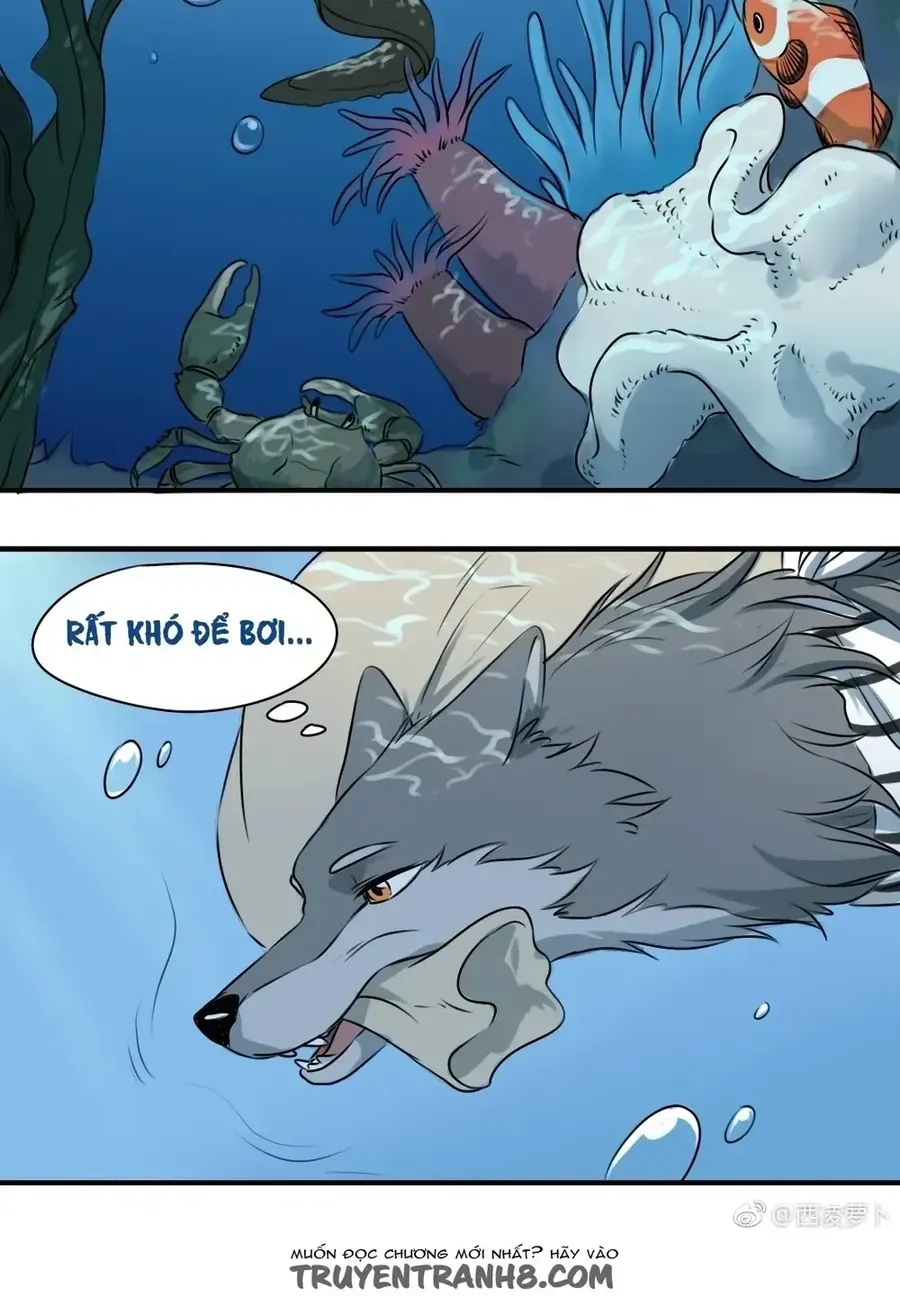 Động Vật Đầu Tiên Chap 13 - Next Chap 14