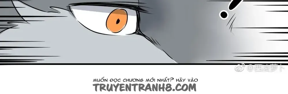 Động Vật Đầu Tiên Chap 16 - Next Chap 17