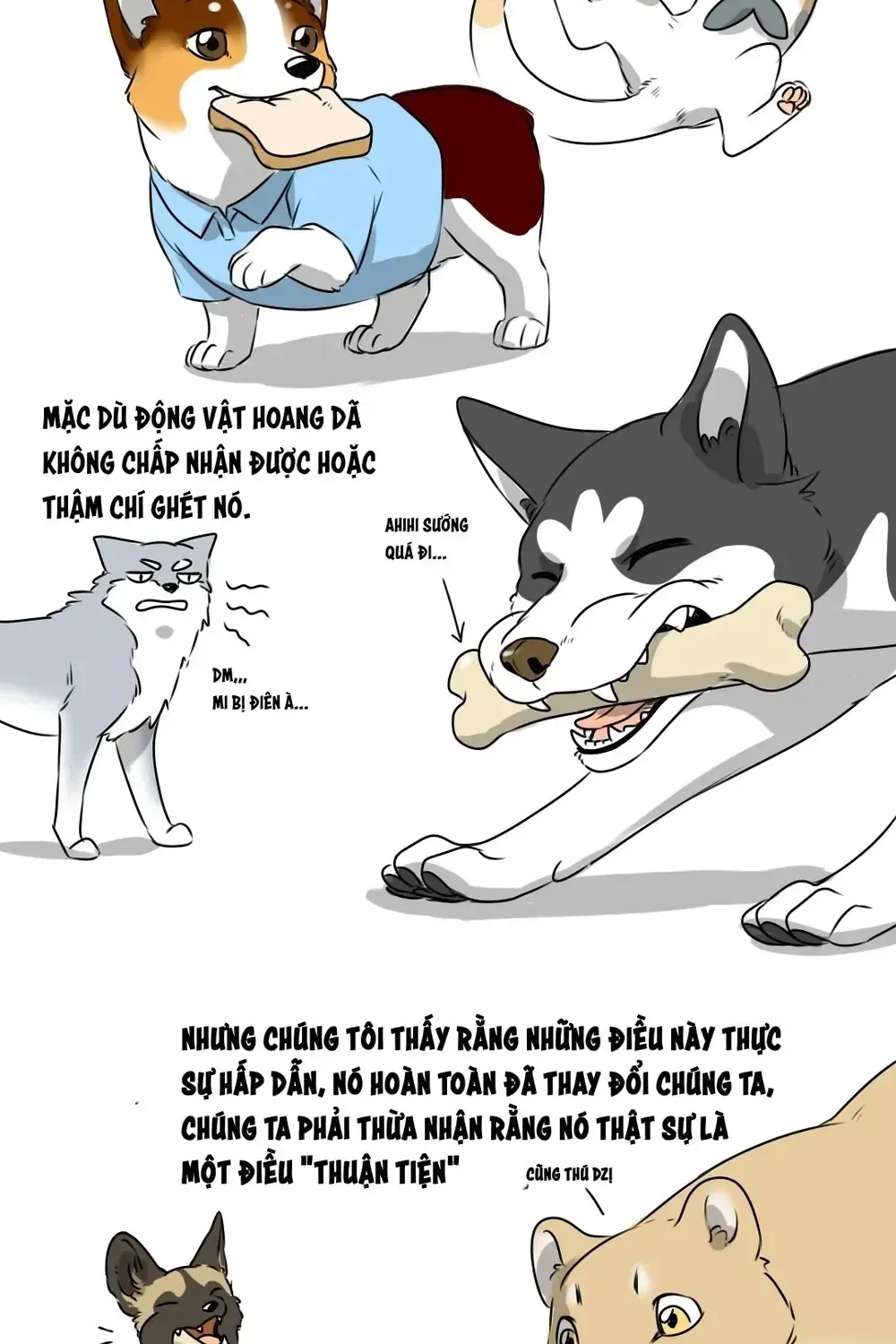 Động Vật Đầu Tiên Chap 16 - Next Chap 17