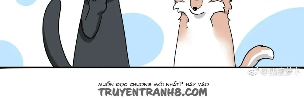Động Vật Đầu Tiên Chap 24 - Next Chap 25