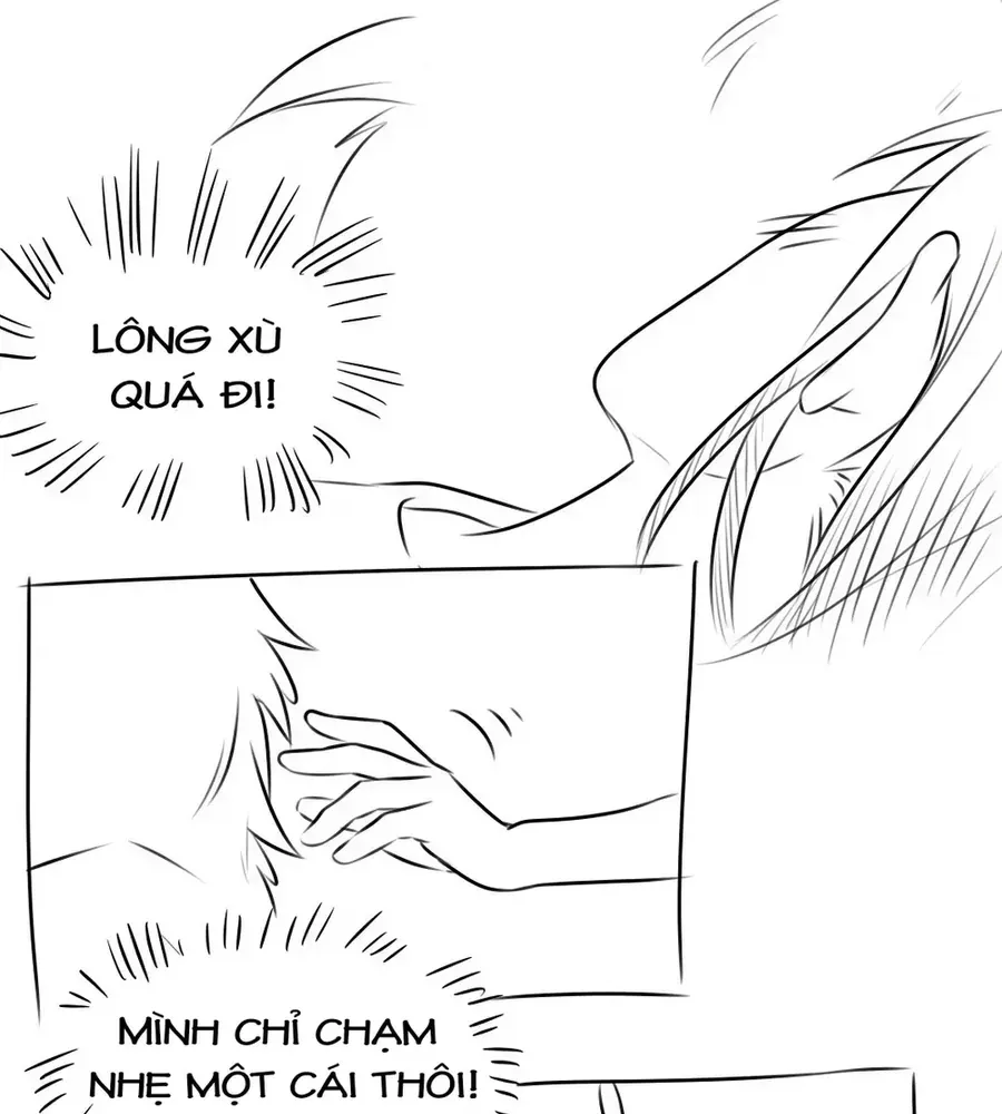 Động Vật Đầu Tiên Chap 26 - Next Chap 27