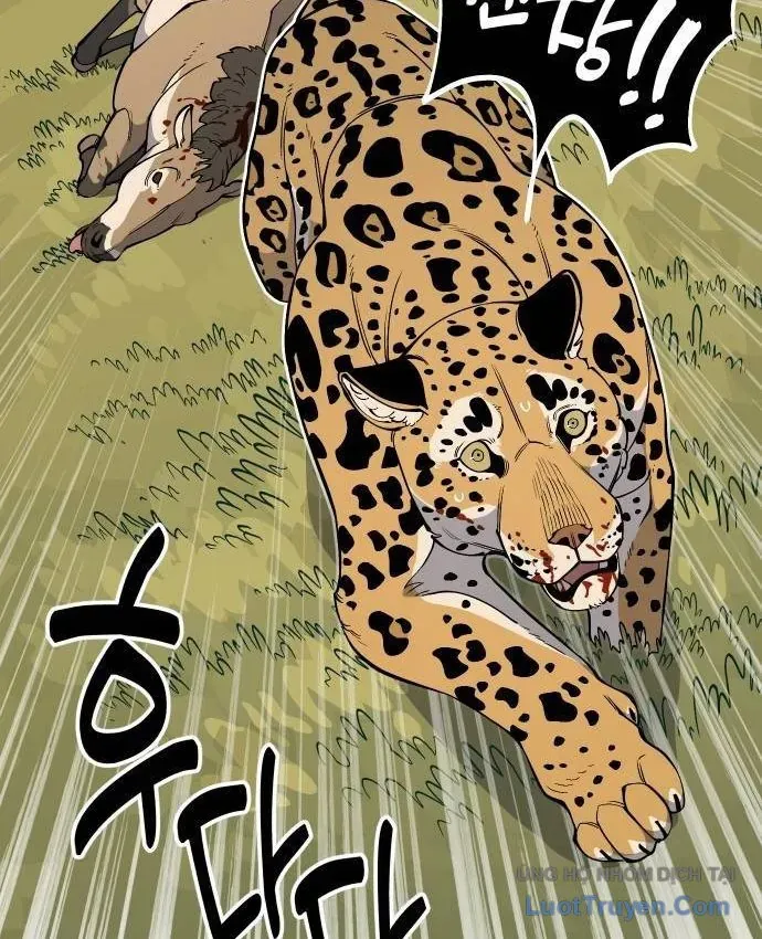 Động Vật Tiền Sử Chap 20 - Next Chap 21