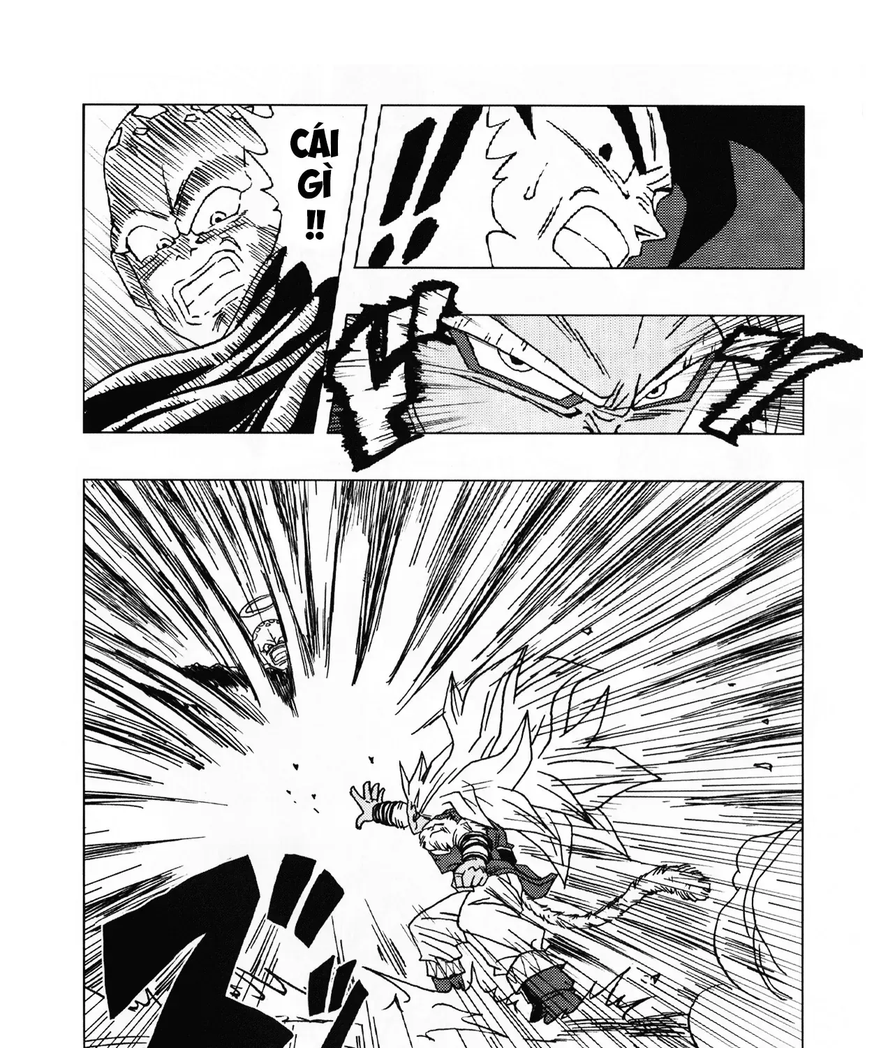 Dragon Ball Af Chap 2 - Next Chap 3