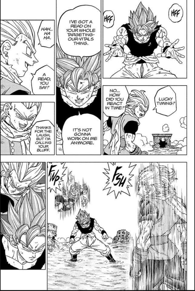 Dragon Ball Super Chap 76 - Next Chap 77