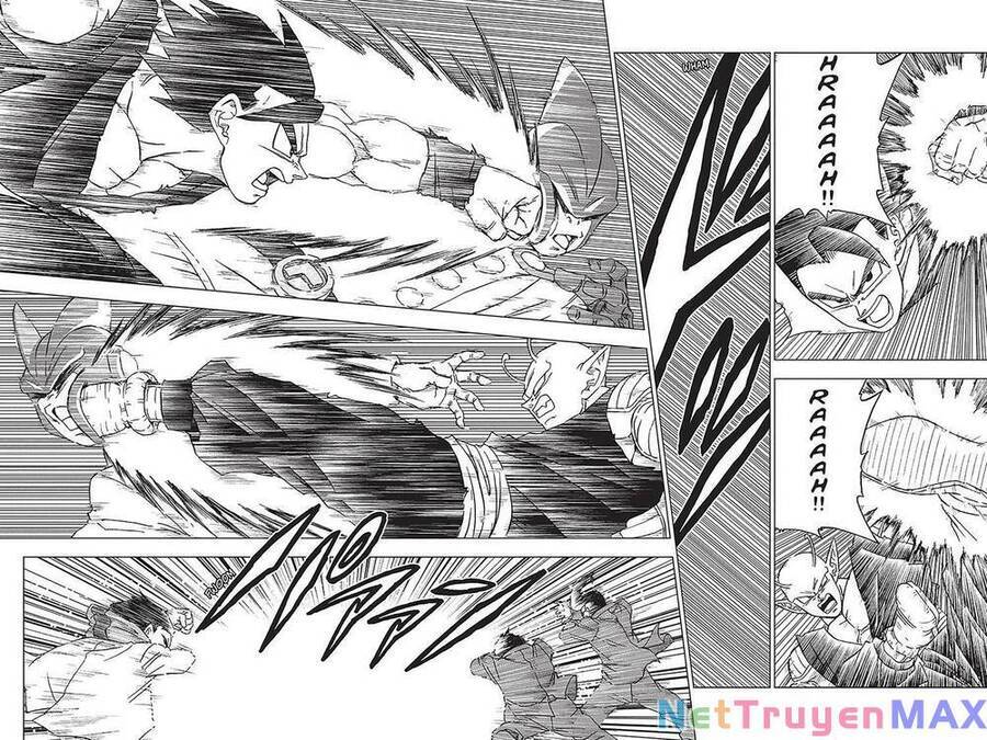 Dragon Ball Super Chap 95 - Next Chap 96