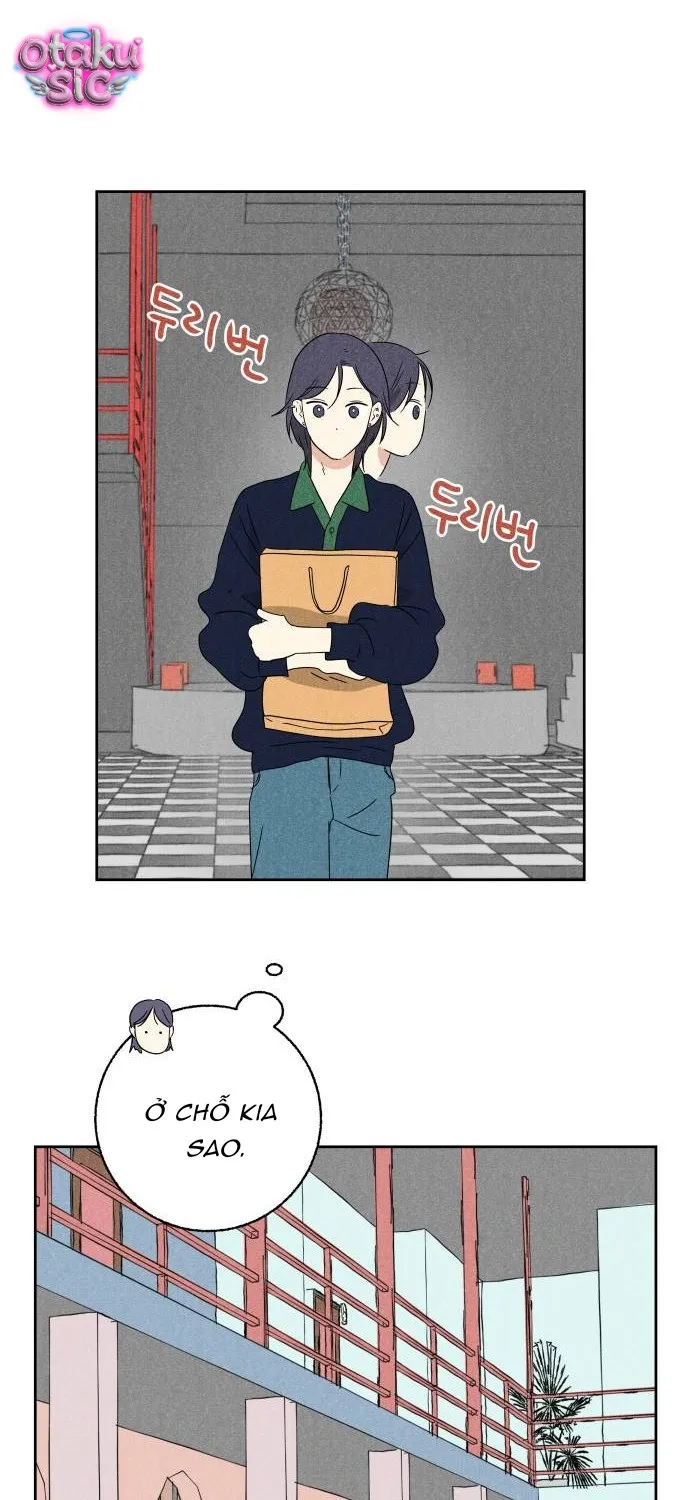 Dư âm hồi kết Chap 10 - Next Chap 11