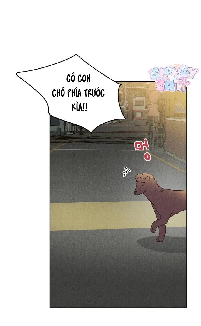 Dư âm hồi kết Chap 11 - Next Chap 12