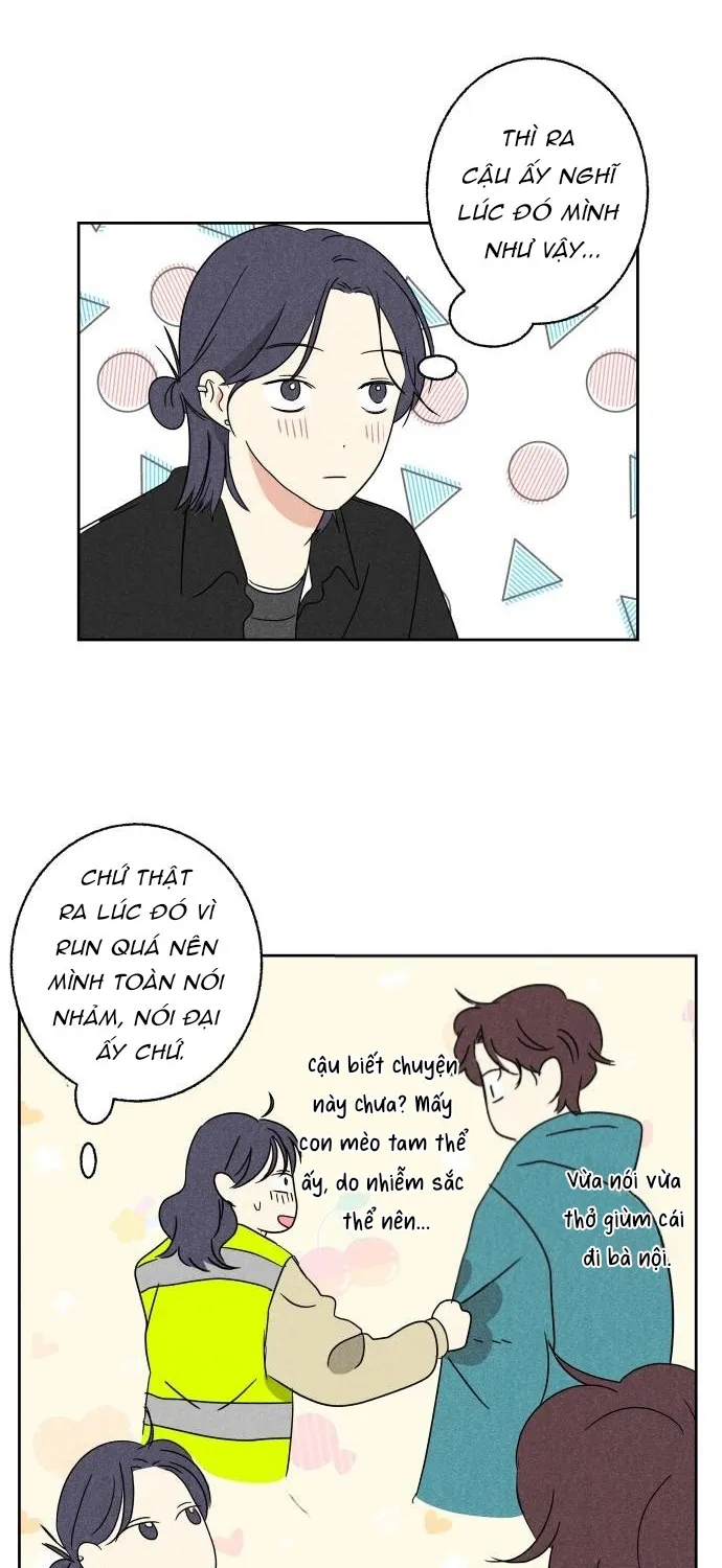 Dư âm hồi kết Chap 5 - Next Chap 6