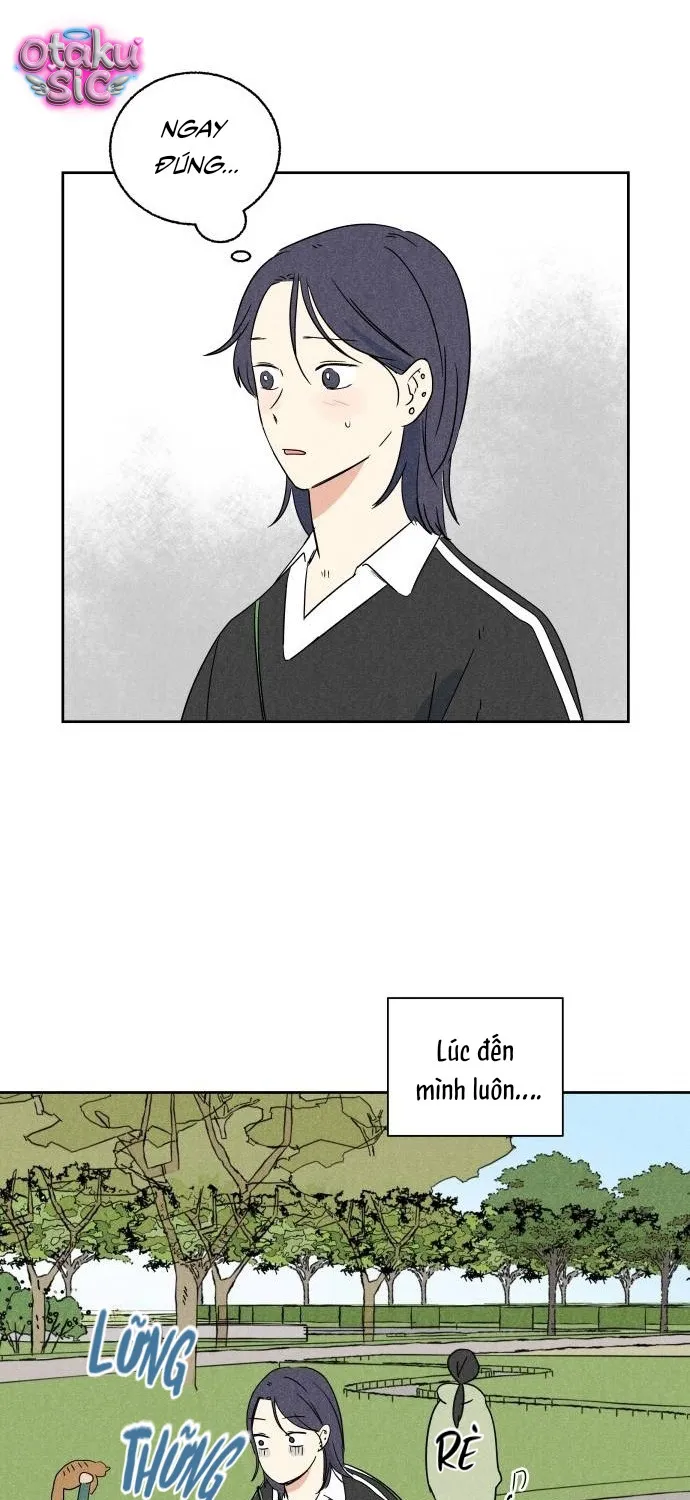 Dư âm hồi kết Chap 6 - Next Chap 7
