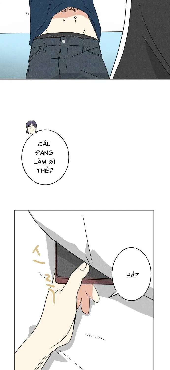 Dư âm hồi kết Chap 8 - Next Chap 9