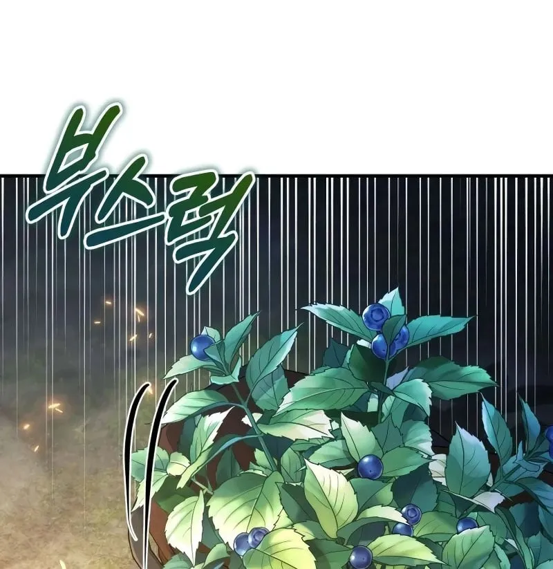 Đứa Con Bị Ruồng Bỏ Cấp 10 Của Nhà Bá Tước Chap 3 - Next Chap 4