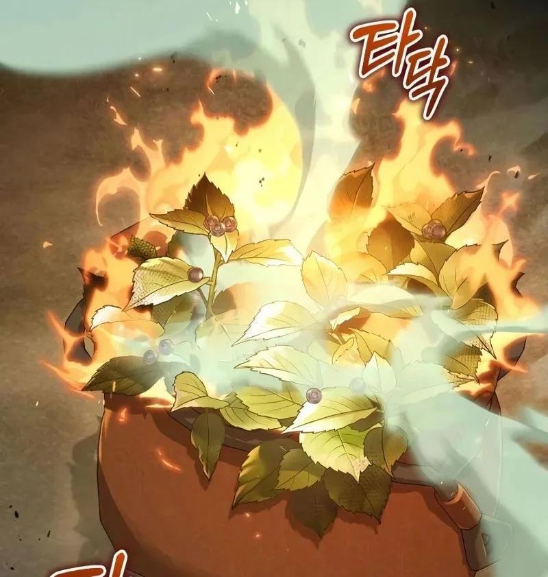 Đứa Con Bị Ruồng Bỏ Cấp 10 Của Nhà Bá Tước Chap 4 - Next Chap 5