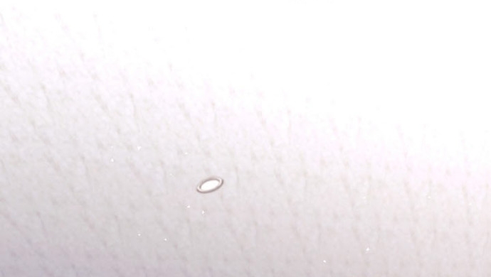 Đứa Con Ngoài Giá Thú Có Khả Năng Hấp Thụ Vũ Khí Chap 72 - Next Chap 73