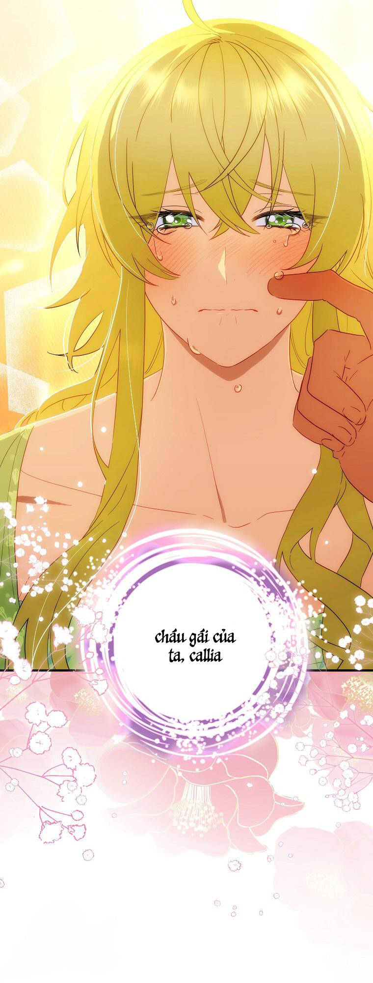 Đứa Nhỏ Không Phải Là Con Anh Chap 55 - Next Chap 56