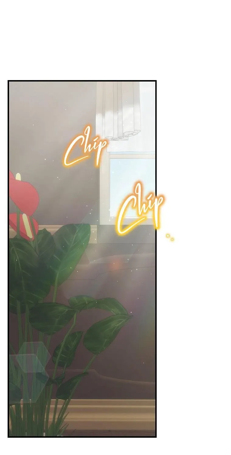Đứa Nhỏ Không Phải Là Con Anh Chap 69 - Next Chap 70