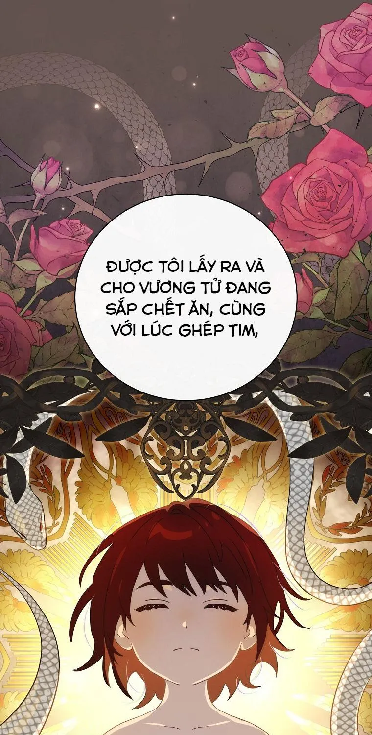 Đứa Nhỏ Không Phải Là Con Anh Chap 82 - Next Chap 83