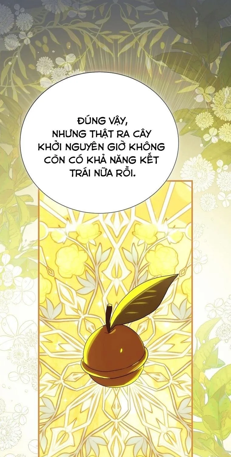 Đứa Nhỏ Không Phải Là Con Anh Chap 94 - Next Chap 95
