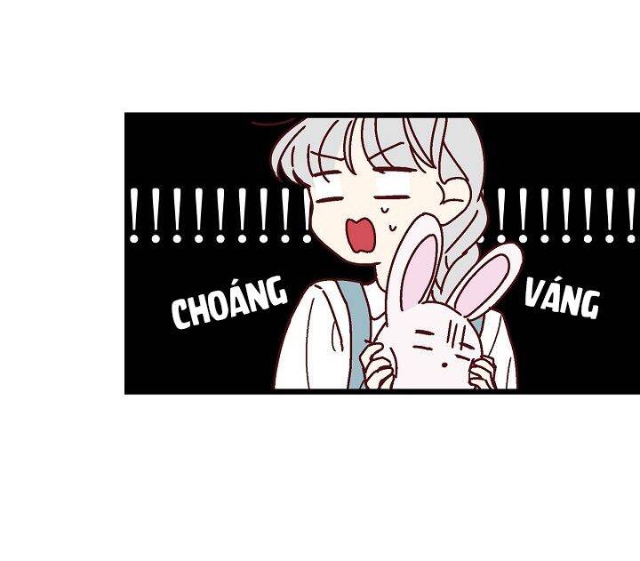 Đừng Chọc Đứa Em Gái Bé Bỏng Của Chúng Tôi Chap 7 - Next Chap 8